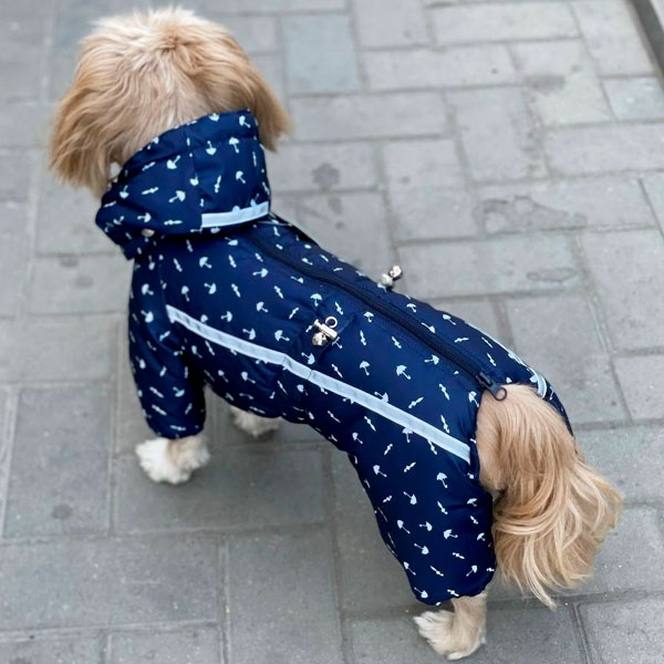 Комбінезон Дощик силікон (хлопчик)  -  Одяг для собак -   Матеріал Силікон  