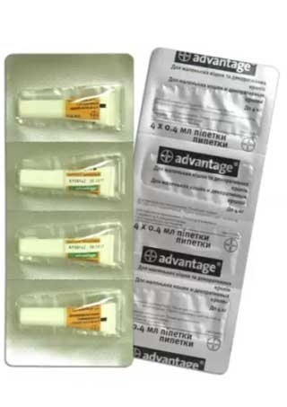 Адвантейдж-40 (Advantage) краплі від бліх для котів і кроликів  -  Засоби від паразитів для гризунів - Advantage     