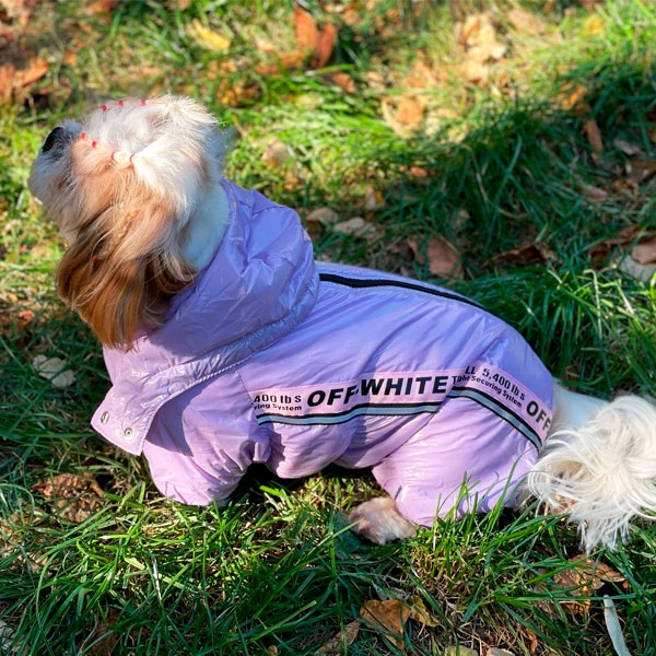 Комбінезон Лілу велсофт (дівчинка)  - Одяг для собак