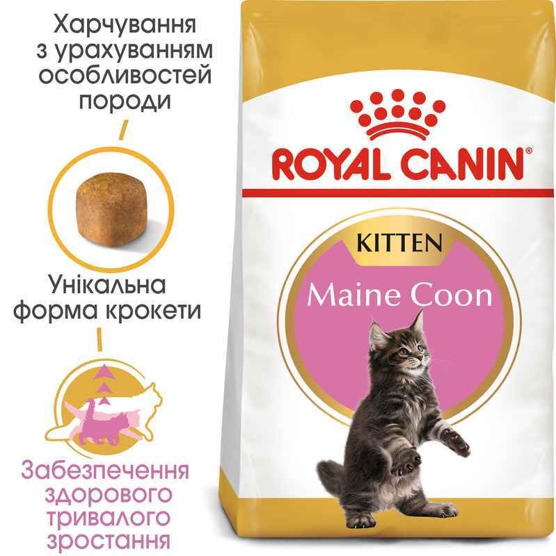 АКЦІЯ Royal Canin Maine Coon Kitten корм для кошенят мейн-кун 2 кг + 4 паучі  -  Сухий корм для кішок -   Для порід Мейн-кун  