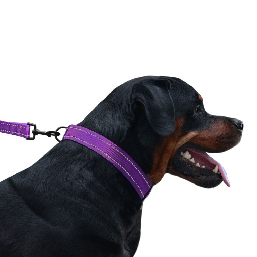 Поводок для собаки ACTIVE нейлоновый со светоотражением Фиолетовый 152 см  -  Поводки для собак BronzeDog     