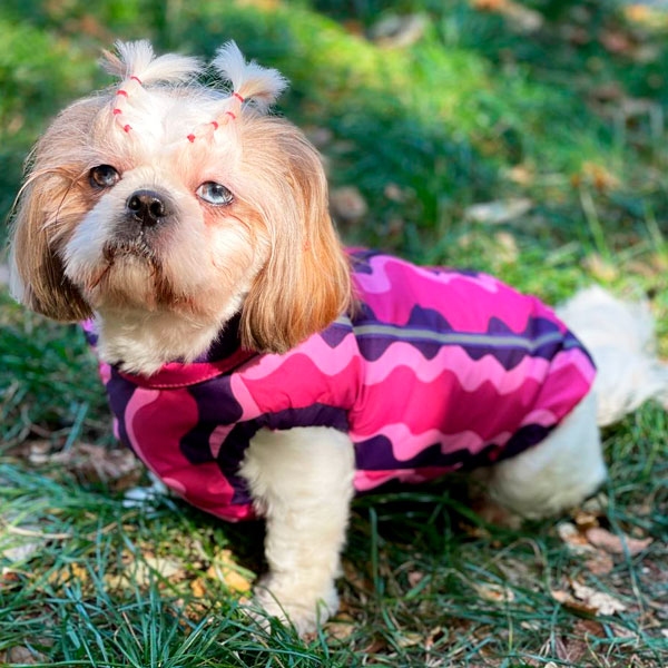 Жилет Волна силикон (девочка)  -  Одежда для собак -   Материал: Силикон  