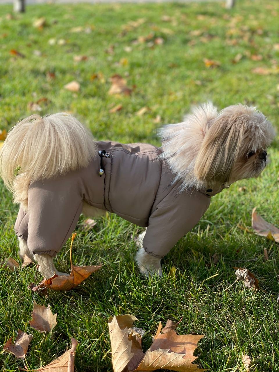 Комбинезон Шейх на силиконе (мальчик)  -  Зимняя одежда для собак 