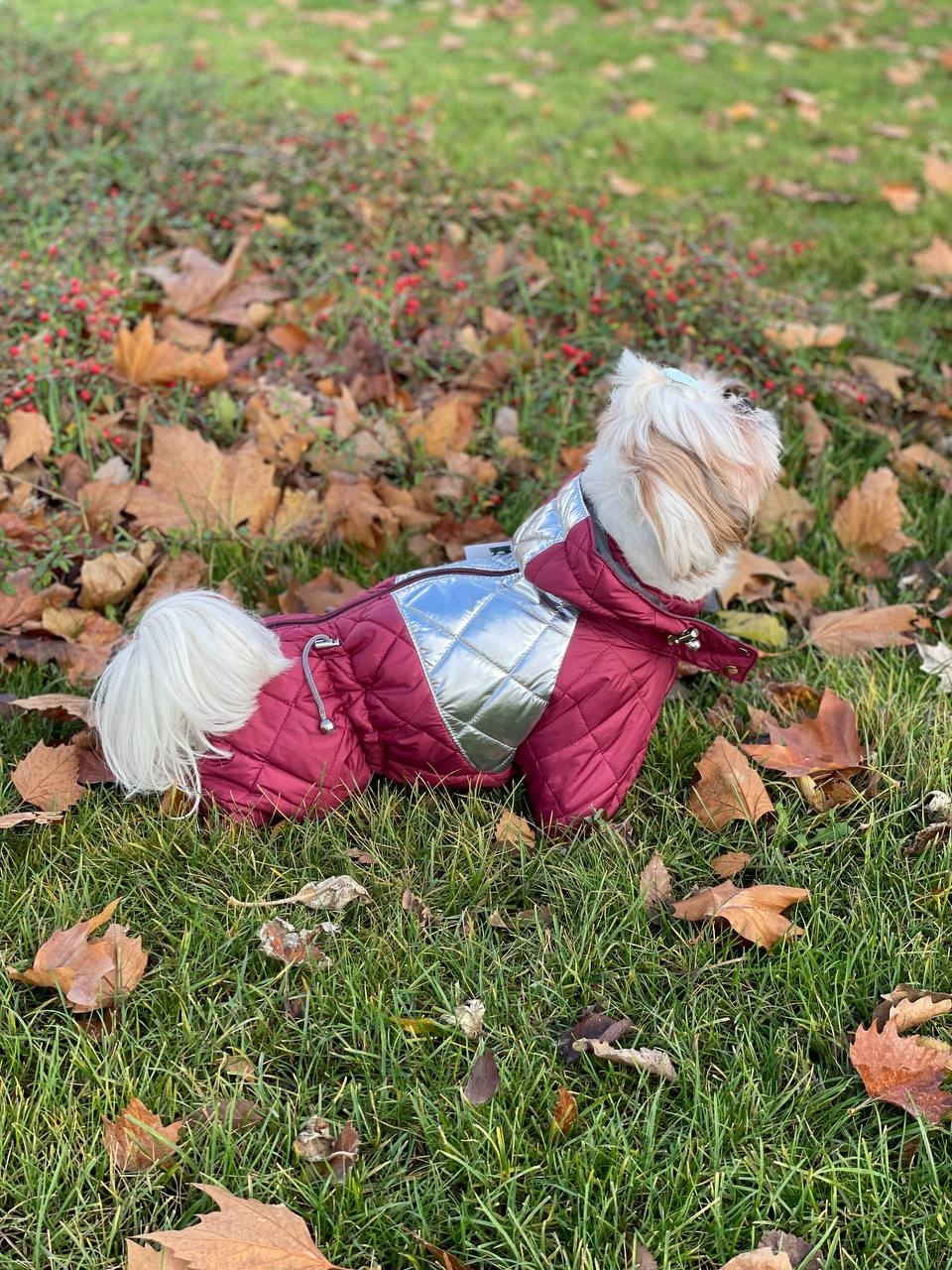 Комбинезон Мила стеганный силикон (девочка)  -  Зимняя одежда для собак 