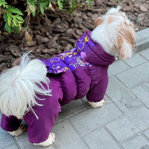 Комбінезон Азалія силікон (дівчинка)  -  Зимовий одяг для собак 