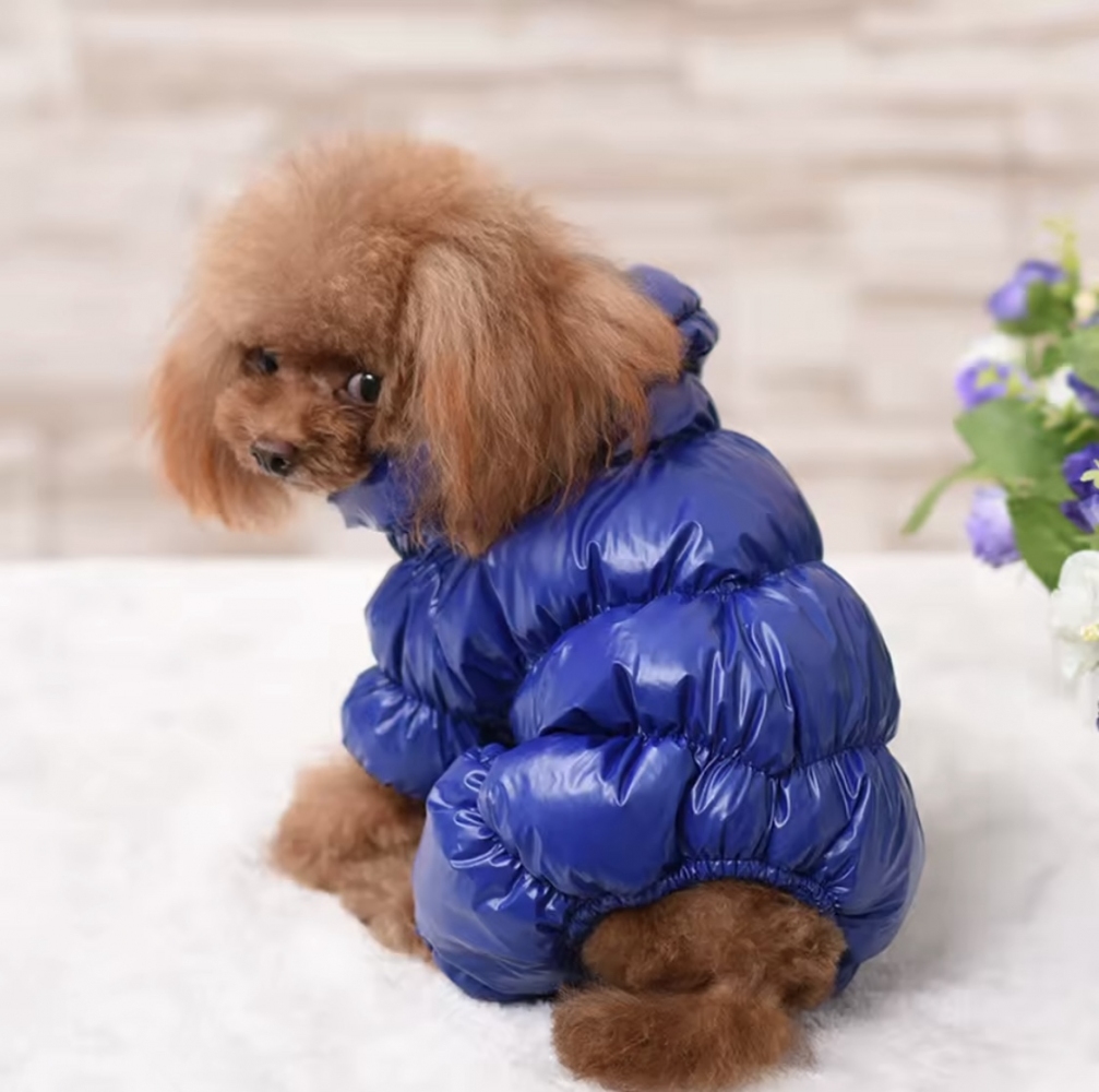 Комбінезон зимовий синій, XL  -  Собаки -    