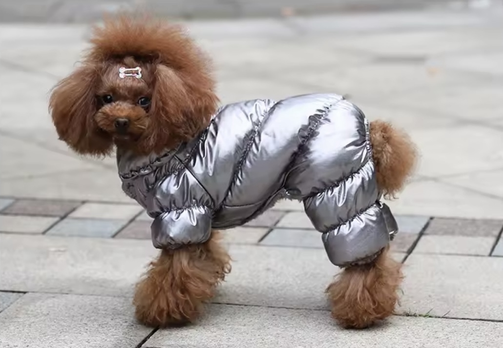 Комбінезон зимовий срібло, XL  -  Собаки -    