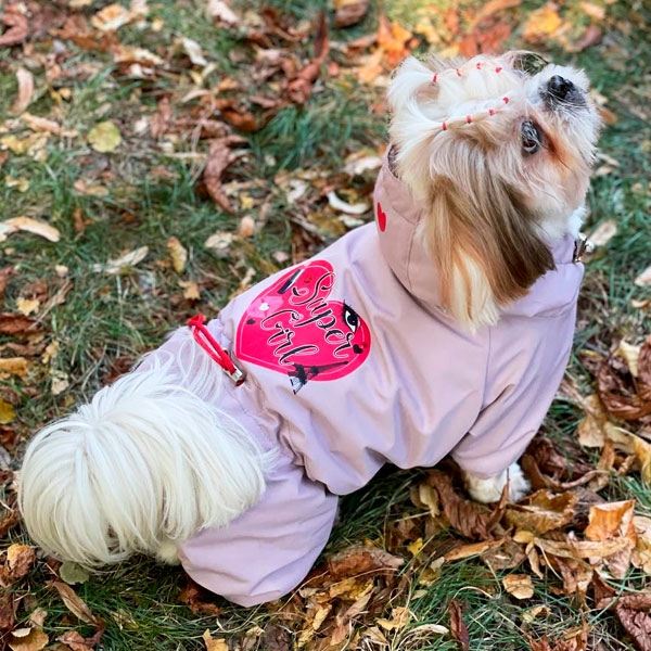 Комбінезон Надія велсофт (дівчинка)  -  Одяг для собак -   Розмір одягу S3  