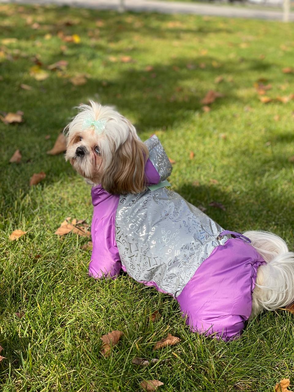 Комбинезон Полли на силиконе (девочка)  -  Одежда для собак -   Размер одежды L  