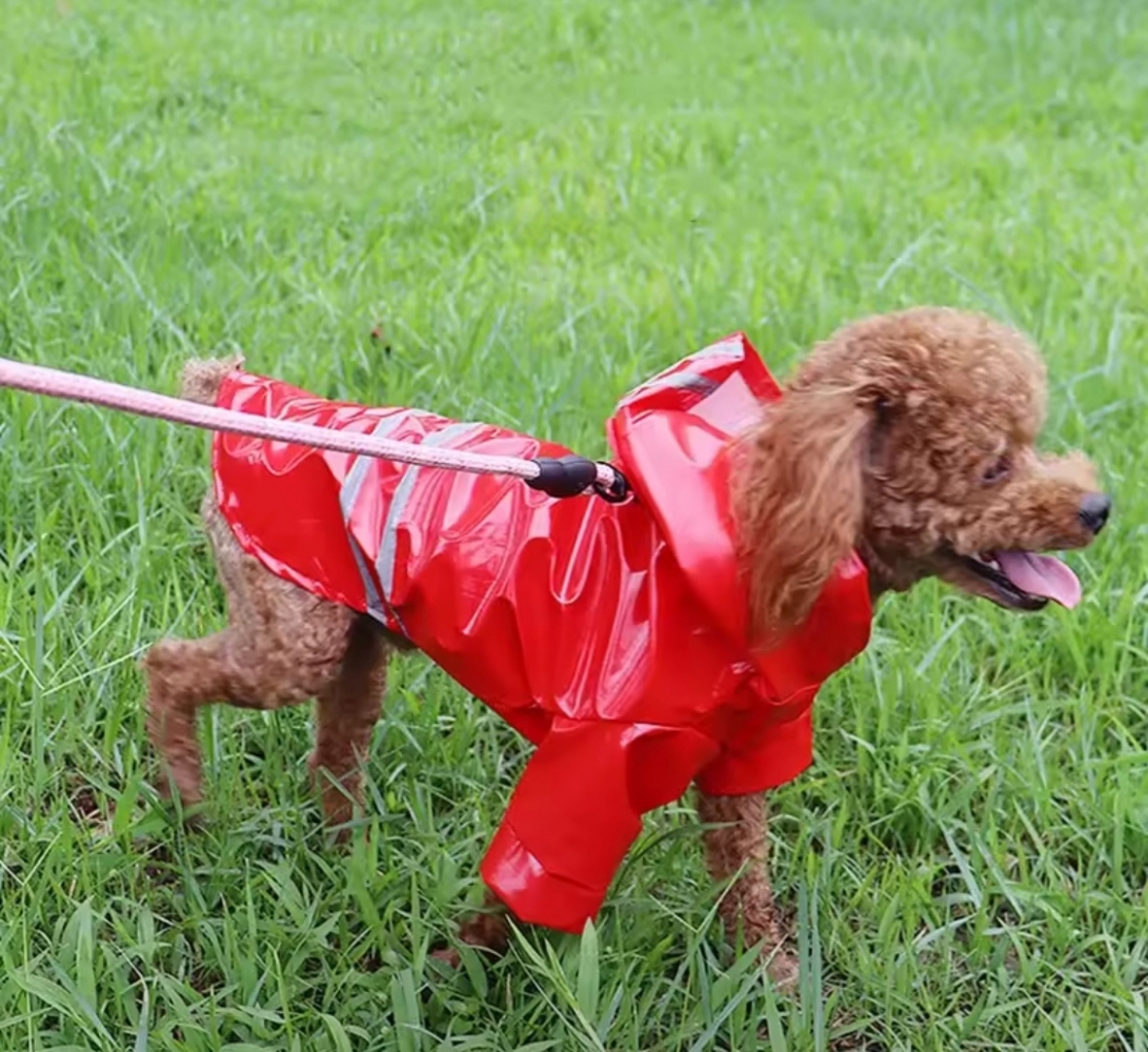 Дождевик плащ красный  -  Собаки -    