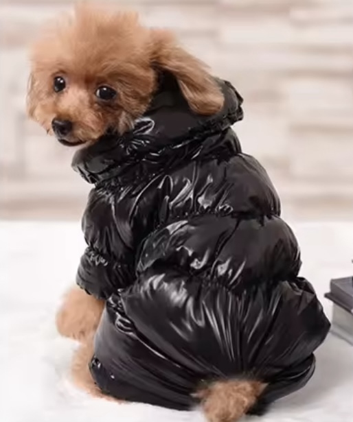 Комбінезон зимовий чорний, XL  -  Собаки -    