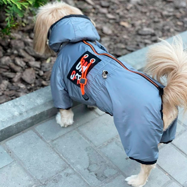 Комбинезон Барс велсофт (мальчик)  -  Одежда для собак -   Размер одежды M1  