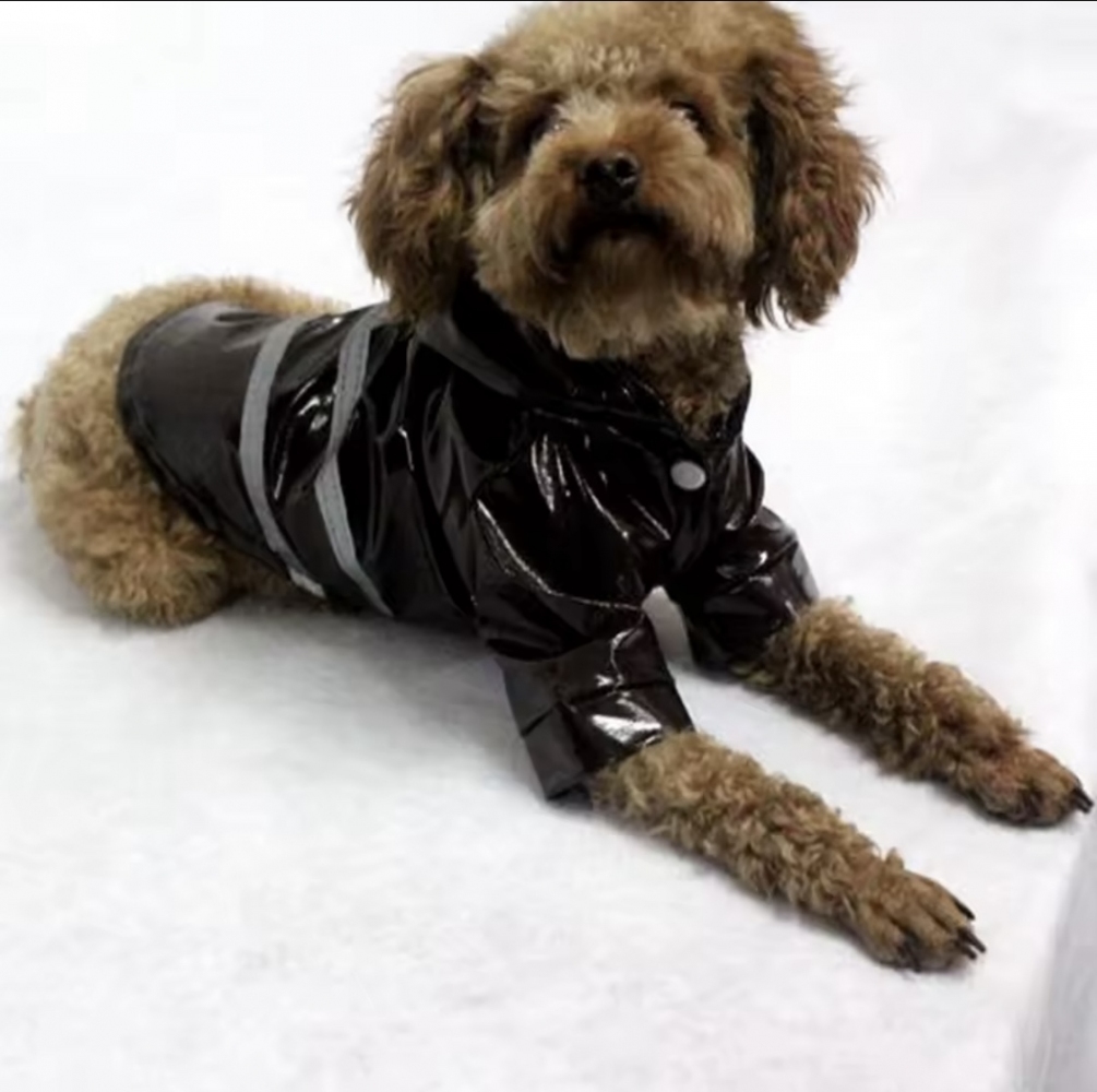 Дождевик плащ черный  -  Собаки -    