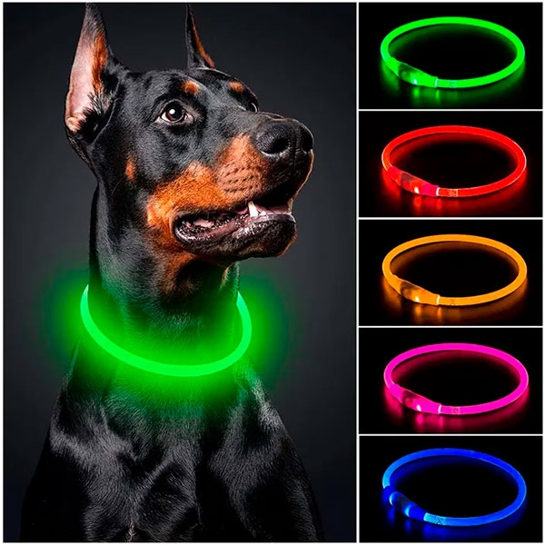 Ошейник для собак светящийся с USB-зарядкой 35 см  -  Ошейники для собак -   Материал: Светящиеся  