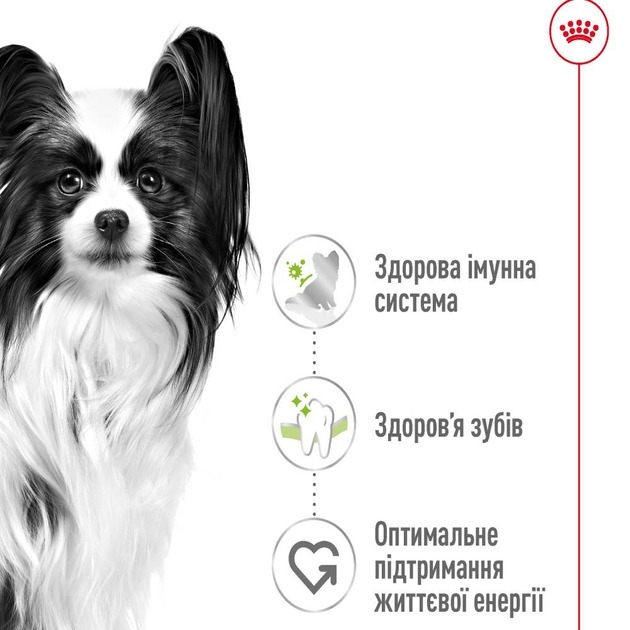 АКЦИЯ Royal Canin X-Small Adult сухой корм для взрослых собак очень мелких размеров 3 кг + миска  - Similar products