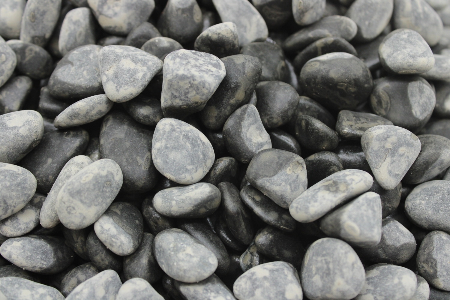 Грунт акваріумний галька чорна неро 10-30 мм, 10 кг  -  Акваріуми для риб - Інші     