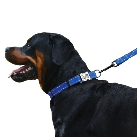 Ошейник ACTIVE нейлоновый со светоотражением и металлической пряжкой Синий  -  Ошейники для собак -   Размер: Средние  
