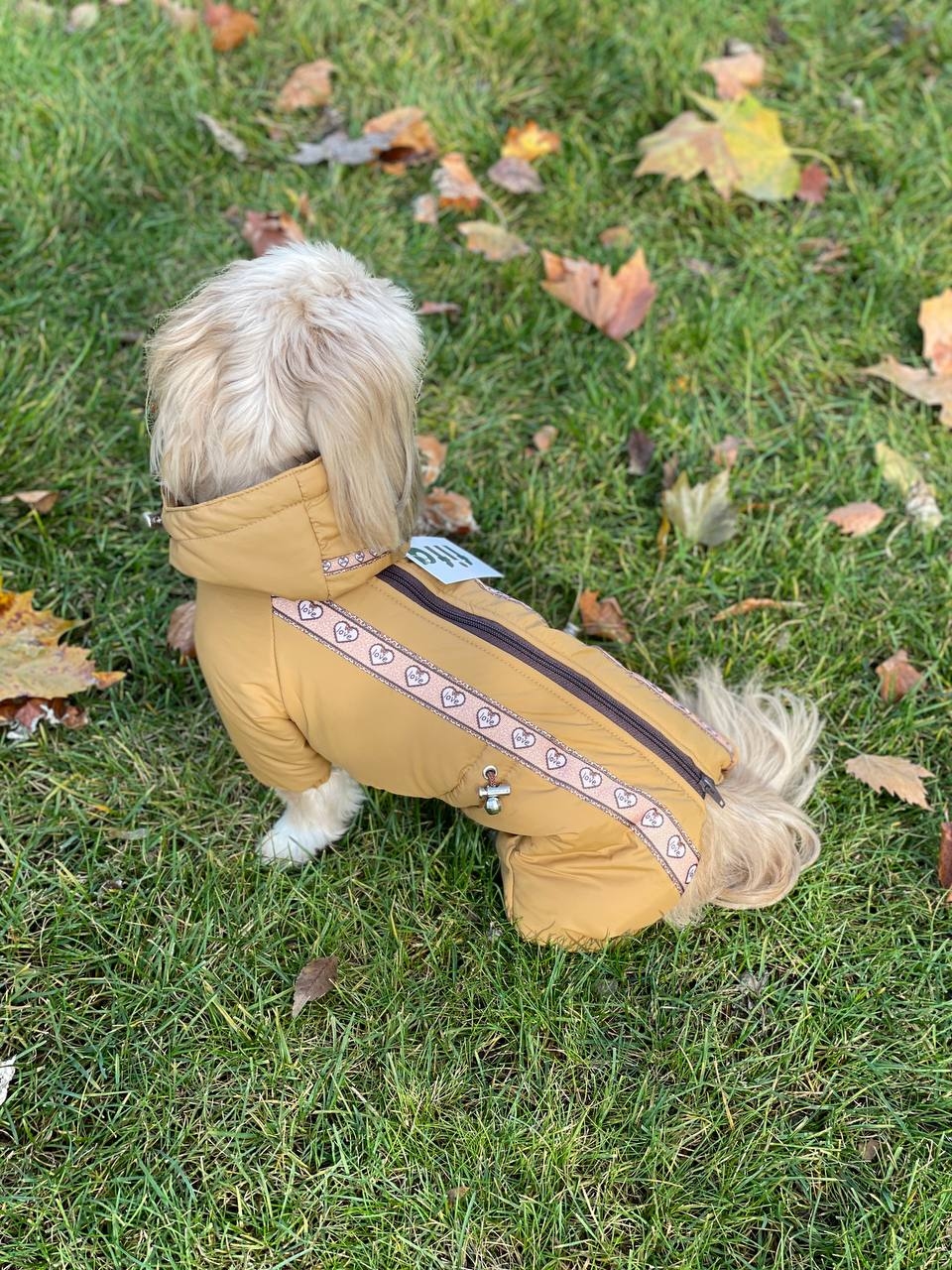 Комбінезон Одіс силікон (хлопчик)  -  Зимовий одяг для собак 