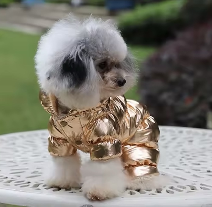 Комбінезон зимовий золото, XL  -  Собаки -    