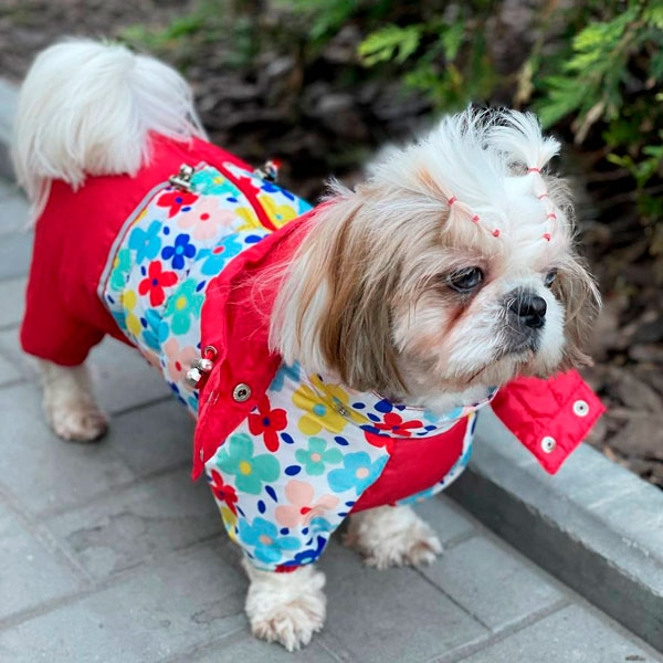 Комбінезон Веснянка силікон (дівчинка)  -  Зимовий одяг для собак 
