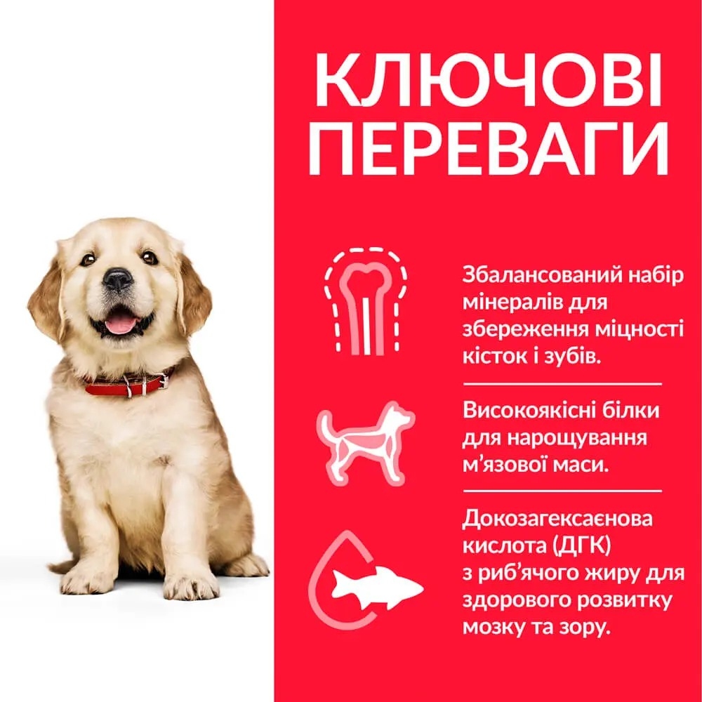 Hill's (Хиллс) Science Plan Puppy Large with Chicken Сухой корм для щенков крупных пород с курицей, 1 кг  -  Корм для собак Hills (Хиллс) 