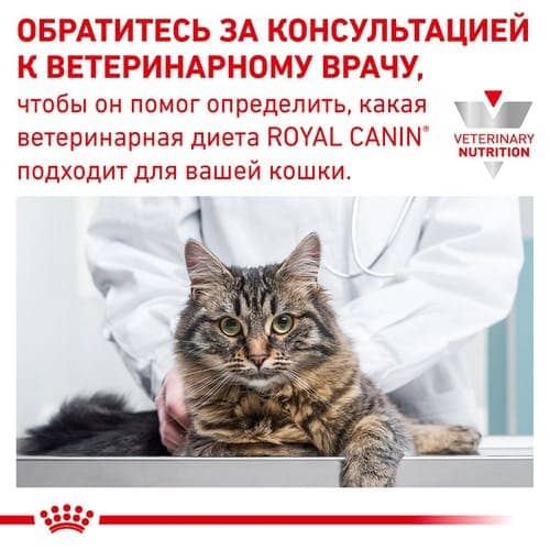 Royal Canin DIABETIC (Роял Канин) консервы для кошек при заболевании диабетом 85г  - Влажный корм для кошек и котов