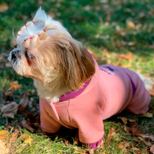 Комбінезон Барбі трикотаж на флісі (дівчинка)  - Одяг для собак