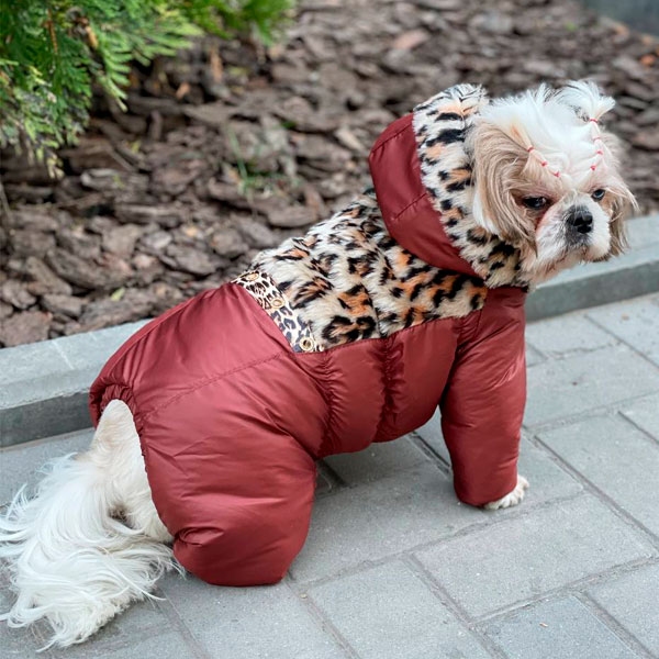 Комбинезон Гарнюня на силиконе мех (девочка)  -  Одежда для собак -   Материал: Силикон  