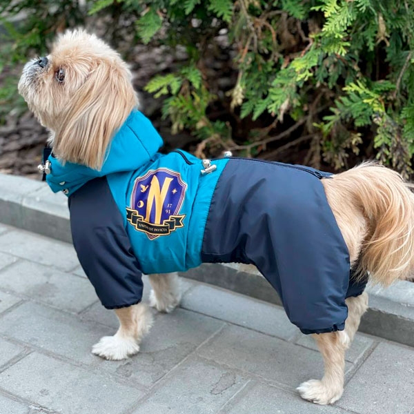 Комбинезон Бредли велсофт (мальчик)  -  Одежда для собак -   Размер одежды XS  
