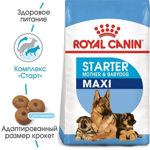 Royal Canin MAXI STARTER для кормящих сук и щенков крупных пород  -  Все для щенков Royal Canin     