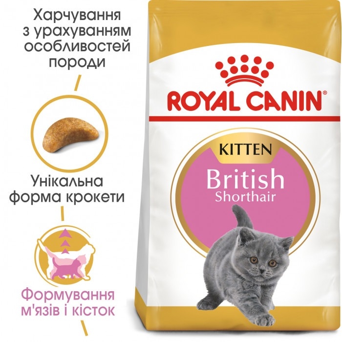 АКЦІЯ Royal Canin Kitten British Shorthair корм для кошенят британська короткошерста 2 кг + 4 паучі  - Сухий корм для котів та кішок