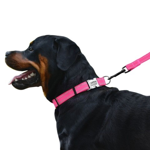 Ошейник ACTIVE нейлоновый со светоотражением и металлической пряжкой Розовый  -  Ошейники для собак BronzeDog     