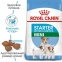 Royal Canin MINI STARTER для для кормящих сук и щенков мелких пород 0