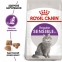 АКЦИЯ Royal Canin SENSIBLE чувствительное пищеварение набор корму для кошек 2 кг + 4 паучи 0