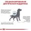 Royal Canin Anallergenic для собак 4