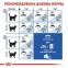 АКЦІЯ Royal Canin Indoor 7+ сухий корм для котів 3,5 кг + наповнювач Catsan 5 л 3