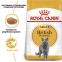 АКЦІЯ Royal Canin British Shorthair сухий корм для котів породи британська короткошерста 4 кг + наповнювач Catsan 5л 0