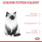 АКЦІЯ Royal Canin Kitten сухий корм для кошенят 2 кг + 12 паучів + схема корму 5