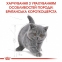 АКЦИЯ Royal Canin Kitten British Shorthair корм для котят британская короткошерстная 2 кг + 4 паучи 5