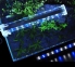 Світильник Xilong LED-D20 бокове кріплення, 6 Вт  6
