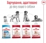 АКЦИЯ Royal Canin Medium Adult сухой корм для взрослых собак средних пород старше 12 месяцев 4 кг + миска в путешествие 4