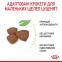 АКЦІЯ Royal Canin Mini Puppy сухий корм для цуценят малих порід 1,6 кг + 400 г 4