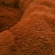 Лежак для собак Мономах 48 * 38 см коричневий 0