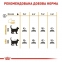 АКЦИЯ Royal Canin Hair Skin Care с проблемной шерстью набор корму для кошек 2 кг + 4 паучи 6