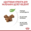 АКЦІЯ Royal Canin Kitten сухий корм для кошенят 2 кг + 12 паучів + схема корму 3