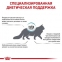 Royal Canin ANALLERGENIC корм для кошек при аллергических реакциях 4