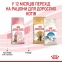 АКЦИЯ Royal Canin KITTEN STERILISED для стерилизованных котят набор корму 2 кг + 4 паучи 9