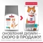 Hill's Science Plan Sterilised Cat Young Adult с тунцем сухой корм для стерилизованных кошек 1.5 кг 0