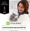 АКЦИЯ Pro Plan Veterinary Diets HA Hypoallergenic сухой корм при пищевой аллергии для кошек 1,3 кг 2