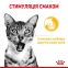 АКЦИЯ Royal Canin Sensory Taste Jelly Влажный корм для  для привередливых кошек старше 1 года 3+1 по 85 г 2